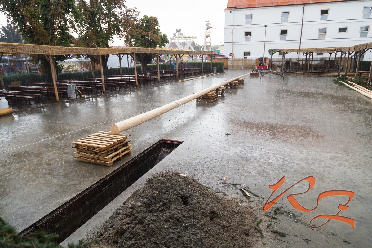 Pátek - stavění máje