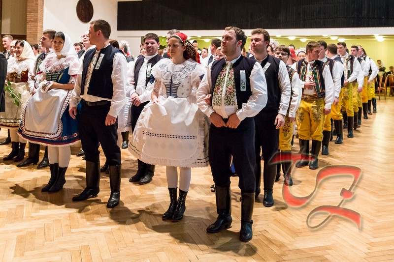 Stárkovský ples 2015