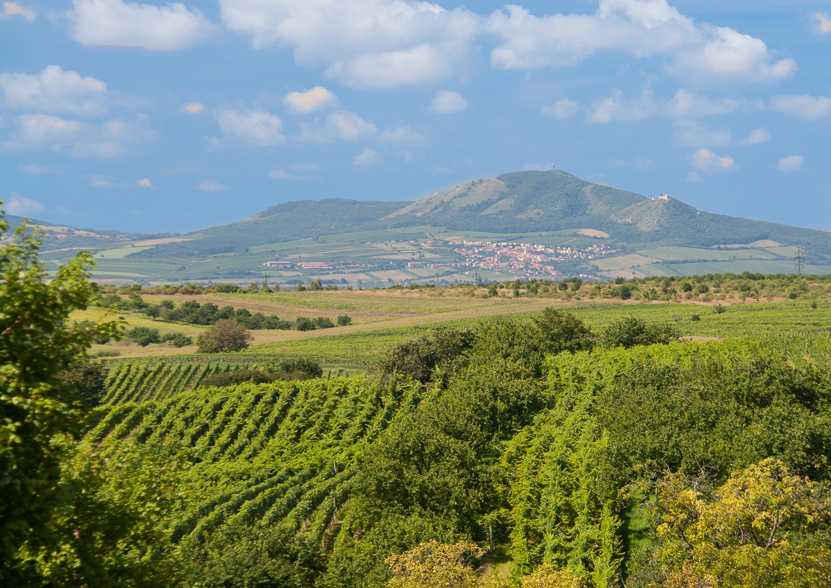 Pálava